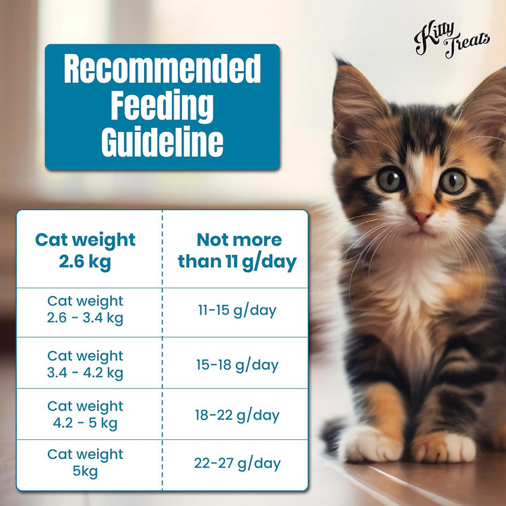Kitty Treats Chicken With Scallop Flavour – 30gm