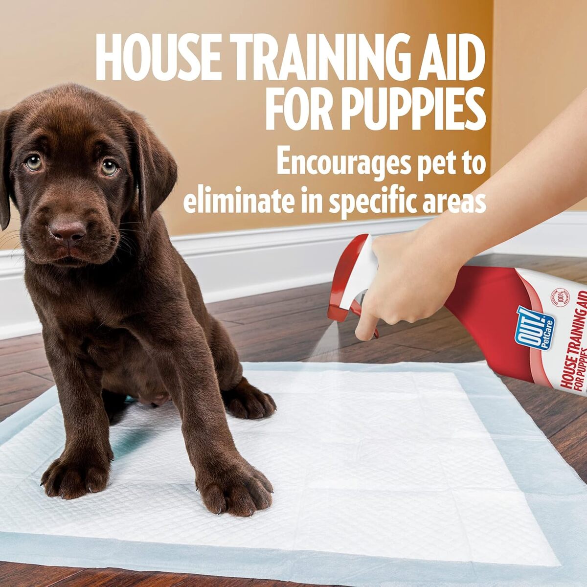 Out Pet Care House training Aid for Puppies - 500 ml