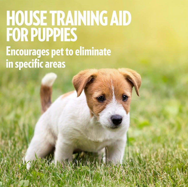 Out Pet Care House training Aid for Puppies - 500 ml