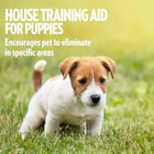 Out Pet Care House training Aid for Puppies - 500 ml - Zigly