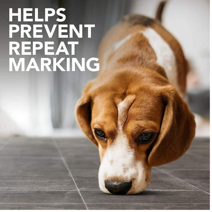Simple Solution Dog Stain & Odor Remover