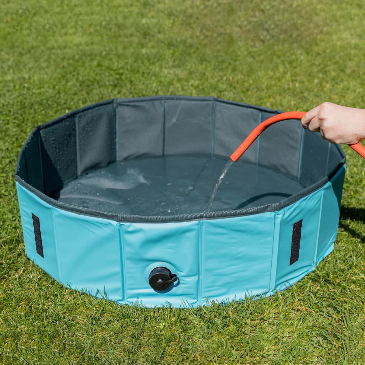 Zigly portable blue pet water pool being filled with hose on green grass outdoors