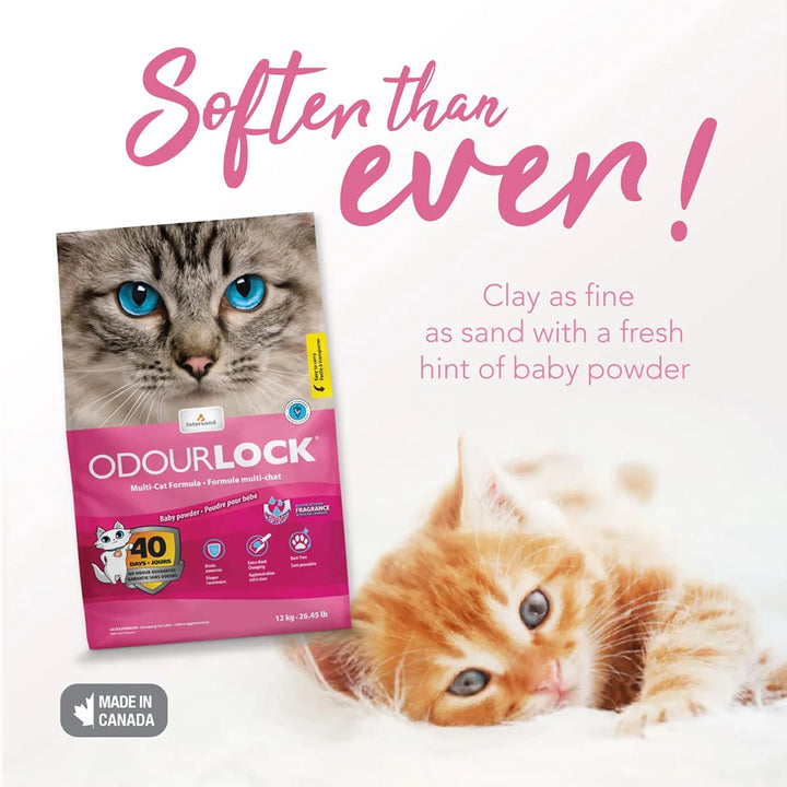 Intersand Odourlock Baby Powder Cat Litter - 12 Kg