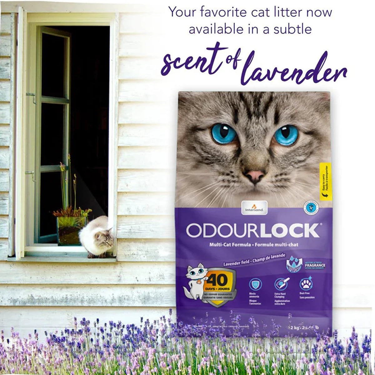 intersand-odourlock-lavender-field-cat-litter-12-kg