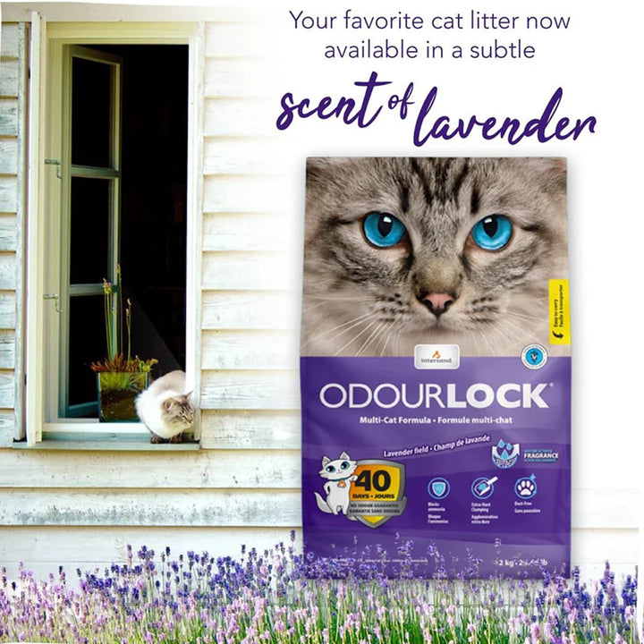 intersand-odourlock-lavender-field-cat-litter-12-kg