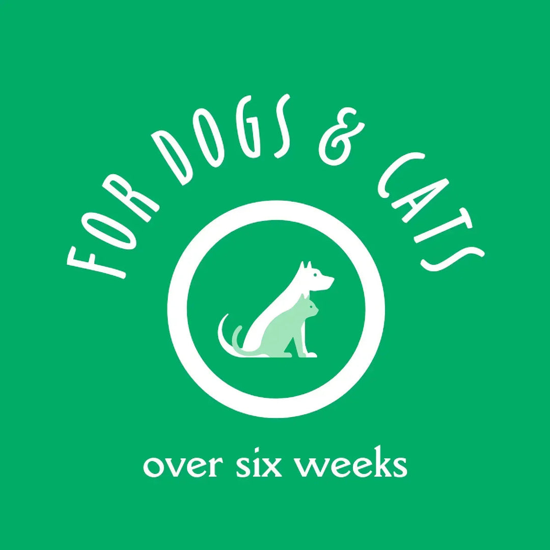 Earthbath All Natural Hypo-Allergenic and Fragrance-Free Grooming Wipes - 100 Wipes - Zigly