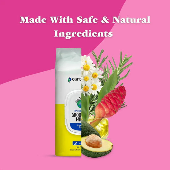 Earthbath All Natural Hypo-Allergenic and Fragrance-Free Grooming Wipes - 100 Wipes - Zigly