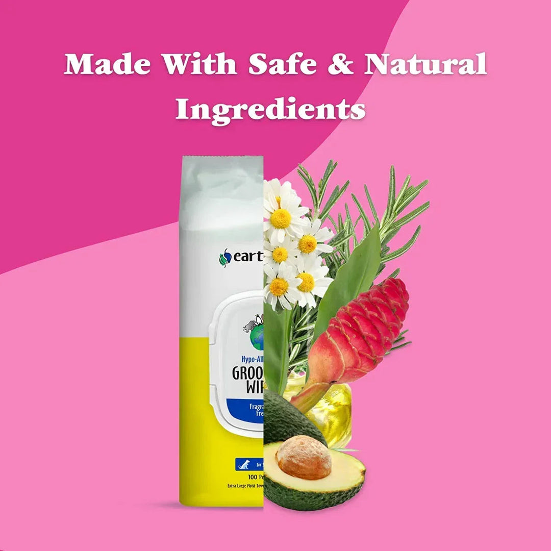 Earthbath All Natural Hypo-Allergenic and Fragrance-Free Grooming Wipes - 100 Wipes - Zigly