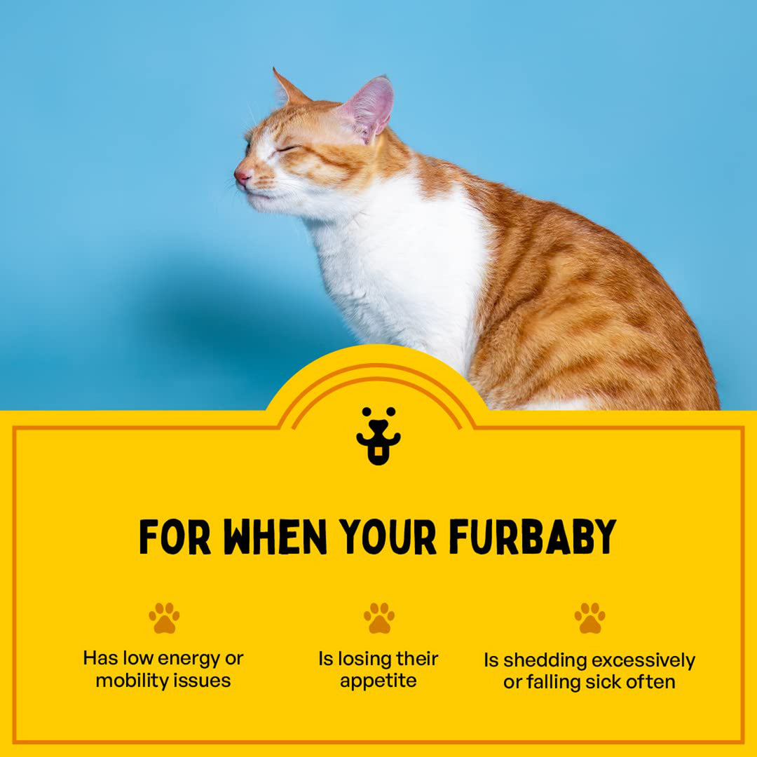 Furlicks Multivitamin for Dogs & Cats – Strawberry Flavour