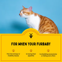 Furlicks Multivitamin for Dogs & Cats – Strawberry Flavour