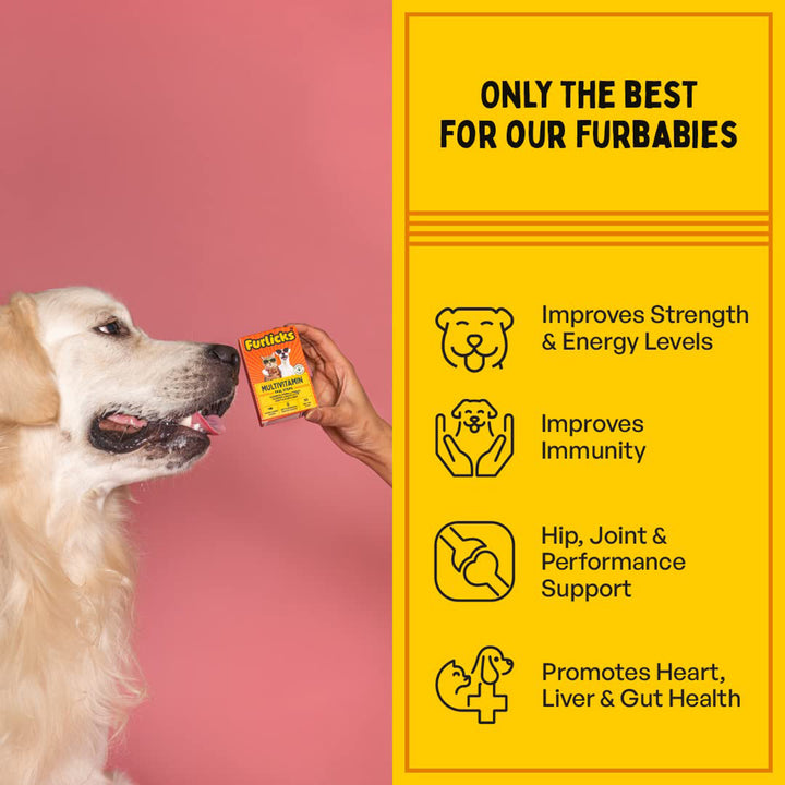 Furlicks Multivitamin for Dogs & Cats – Strawberry Flavour