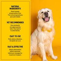 Furlicks Skin & Coat Supplement for Dogs & Cats – Maple Syrup Flavour