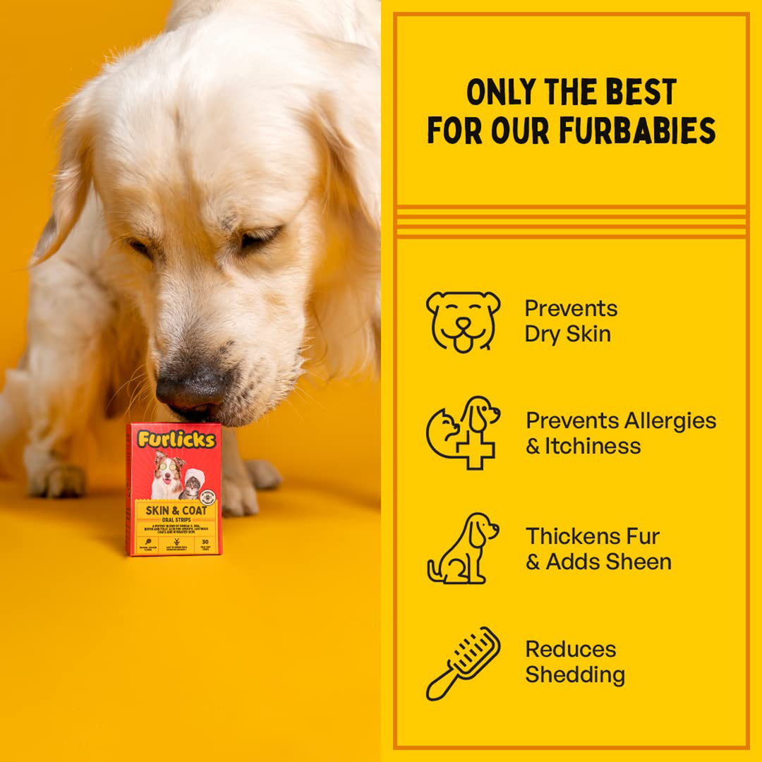 Furlicks Skin & Coat Supplement for Dogs & Cats – Maple Syrup Flavour