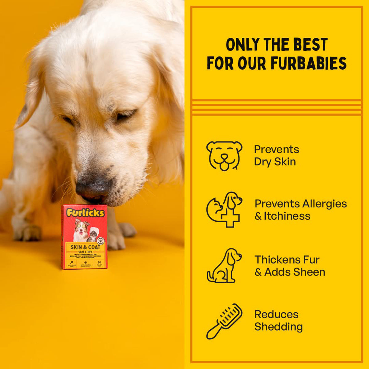 Furlicks Skin & Coat Supplement for Dogs & Cats – Maple Syrup Flavour