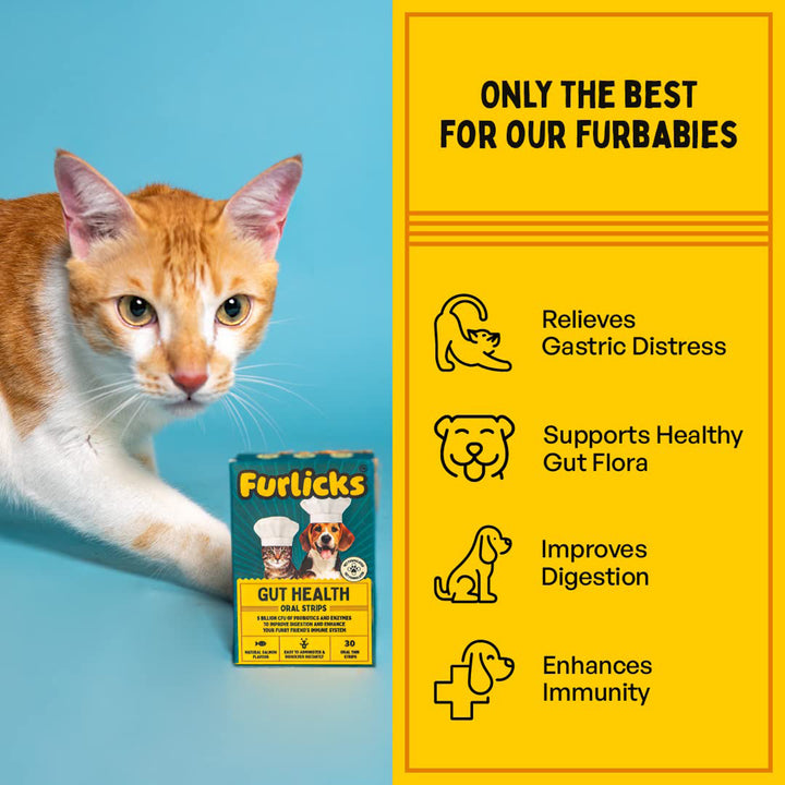 Furlicks Gut Health Supplement for Dogs & Cats – Mixed Berry Flavour