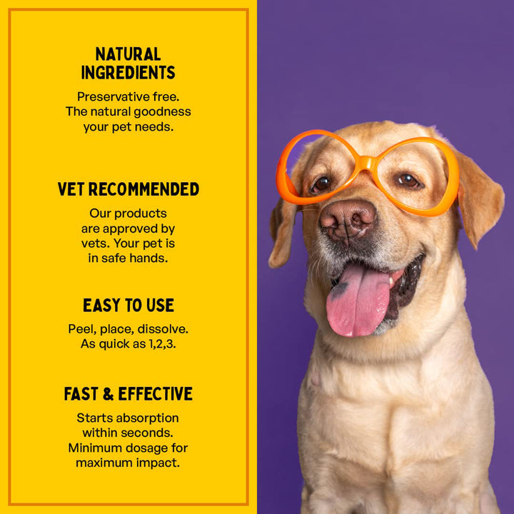 Furlicks Gut Health Supplement for Dogs & Cats – Mixed Berry Flavour