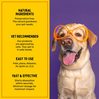 Furlicks Gut Health Supplement for Dogs & Cats – Mixed Berry Flavour