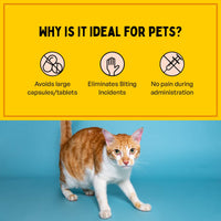 Furlicks Gut Health Supplement for Dogs & Cats – Mixed Berry Flavour