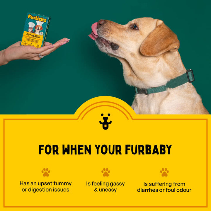 Furlicks Gut Health Supplement for Dogs & Cats – Mixed Berry Flavour