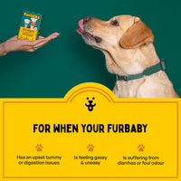Furlicks Gut Health Supplement for Dogs & Cats – Mixed Berry Flavour