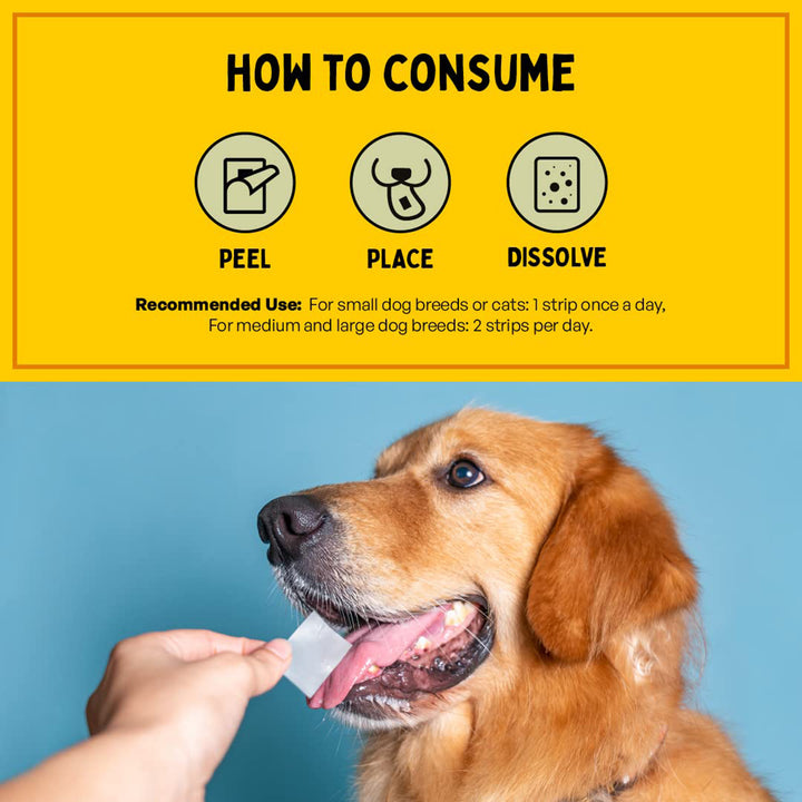 Furlicks Gut Health Supplement for Dogs & Cats – Mixed Berry Flavour