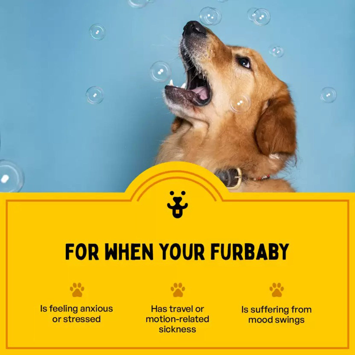 Furlicks Calming Aid Oral Strips for Dogs & Cats – Mixed Fruit Flavour