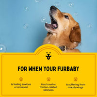 Furlicks Calming Aid Oral Strips for Dogs & Cats – Mixed Fruit Flavour