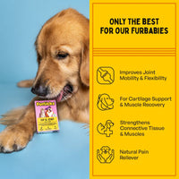 Furlicks Hip & Joint Supplement for Dogs & Cats – Peanut Butter Flavour