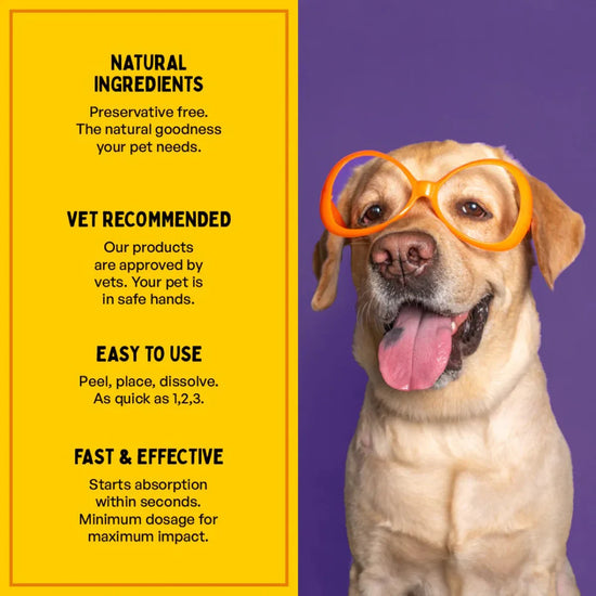 furlicks-hip-joint-supplement-for-dogs-cats-peanut-butter-flavour