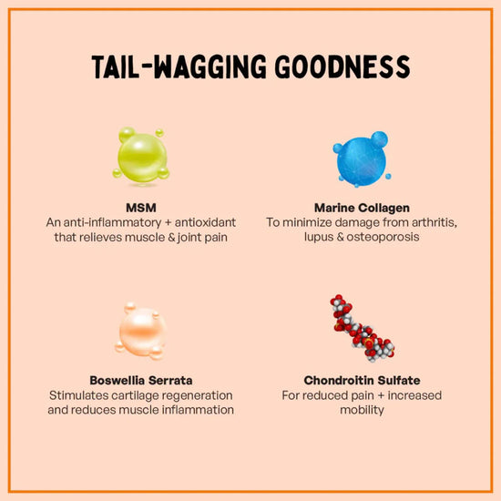 furlicks-hip-joint-supplement-for-dogs-cats-peanut-butter-flavour