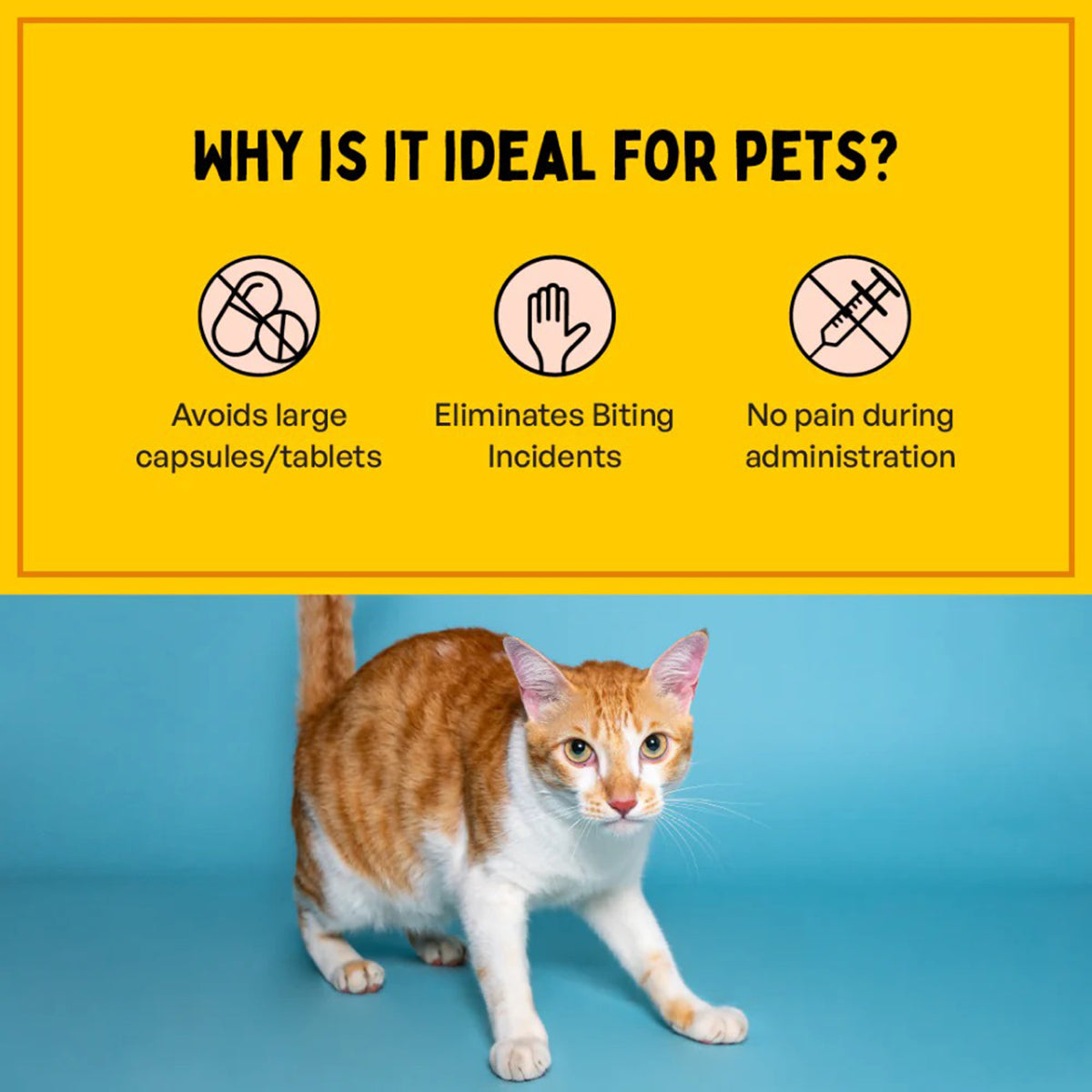 Furlicks Hip & Joint Supplement for Dogs & Cats – Peanut Butter Flavour