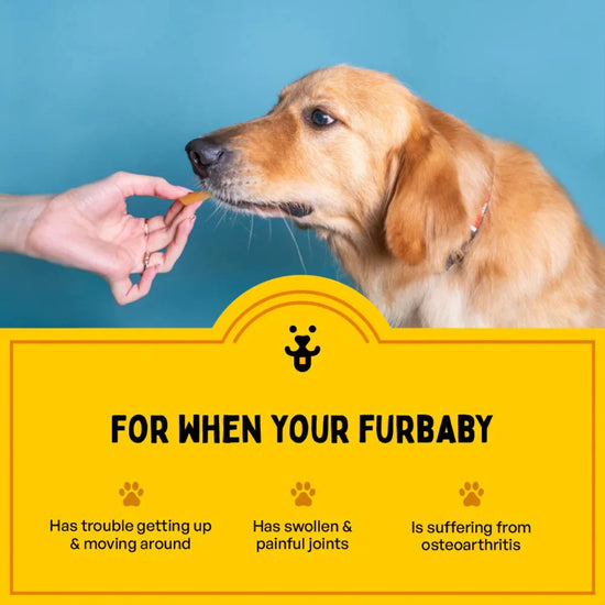 furlicks-hip-joint-supplement-for-dogs-cats-peanut-butter-flavour