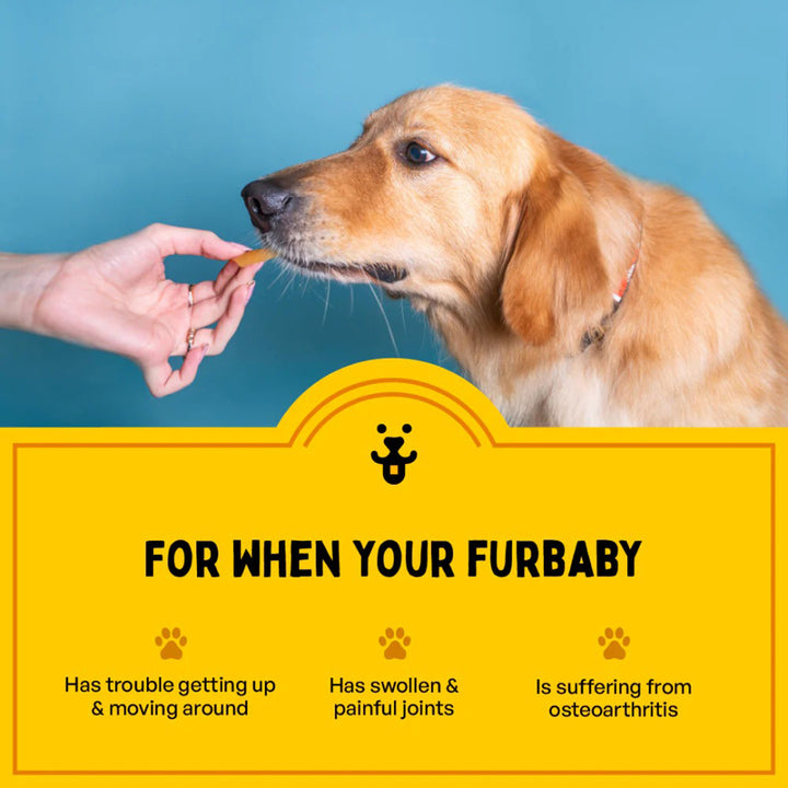 Furlicks Hip & Joint Supplement for Dogs & Cats – Peanut Butter Flavour