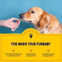 Furlicks Hip & Joint Supplement for Dogs & Cats – Peanut Butter Flavour