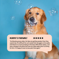 Furlicks Hip & Joint Supplement for Dogs & Cats – Peanut Butter Flavour