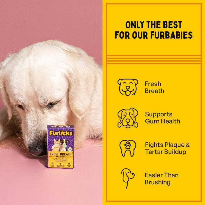 Furlicks Fresh Breath Oral Strips for Dogs & Cats – Spearmint Flavour