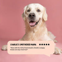 Furlicks Fresh Breath Oral Strips for Dogs & Cats – Spearmint Flavour