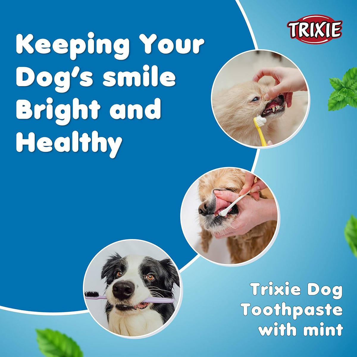 Trixie Dog Toothpaste with Mint - 100g
