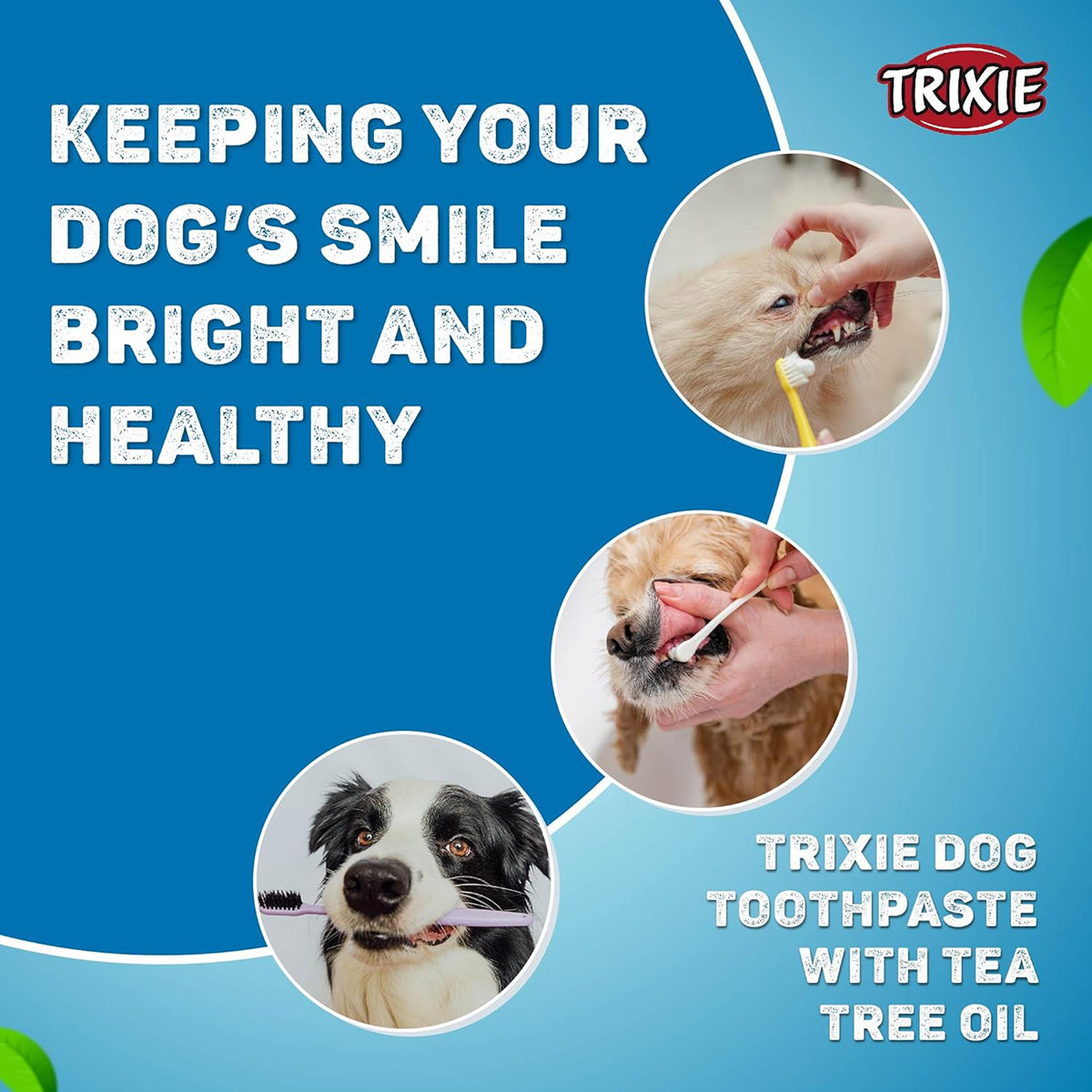 Trixie Dog Toothpaste with Tea Tree Oil - 100g