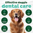 Tropiclean Fresh Breath Clean Teeth Brushing Gel For Dog - 59ml - Zigly