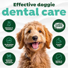 Tropiclean Fresh Breath Puppy Water Additive - 473ml - Zigly