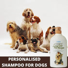 Forbis Long Coat Aloe Dog Shampoo - 750 ml - Zigly