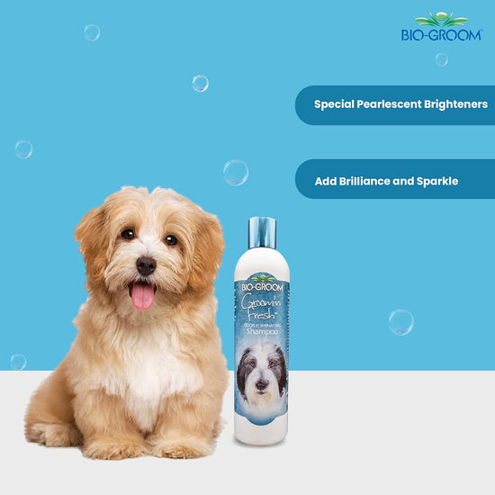 biogroom-groom-n-fresh-odour-eliminating-dog-shampoo-355-ml