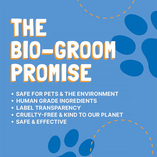 Biogroom White Ginger Natural Scents Dog Shampoo - 355 ml