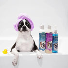 Bio-Groom Natural Oatmeal Anti-Itch Creme Rinse Dog Conditioner - 355ml - Zigly