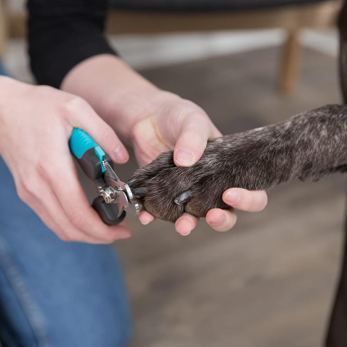 Trixie Dog & Cat Nail Clipper - 16cm
