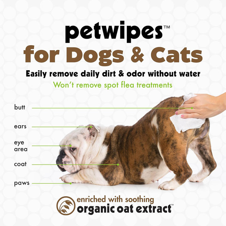 Petkin Oatmeal Mega Valu-Pak Pet Wipes - 125 Wipes