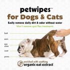 Petkin Oatmeal Mega Valu-Pak Pet Wipes - 125 Wipes - Zigly
