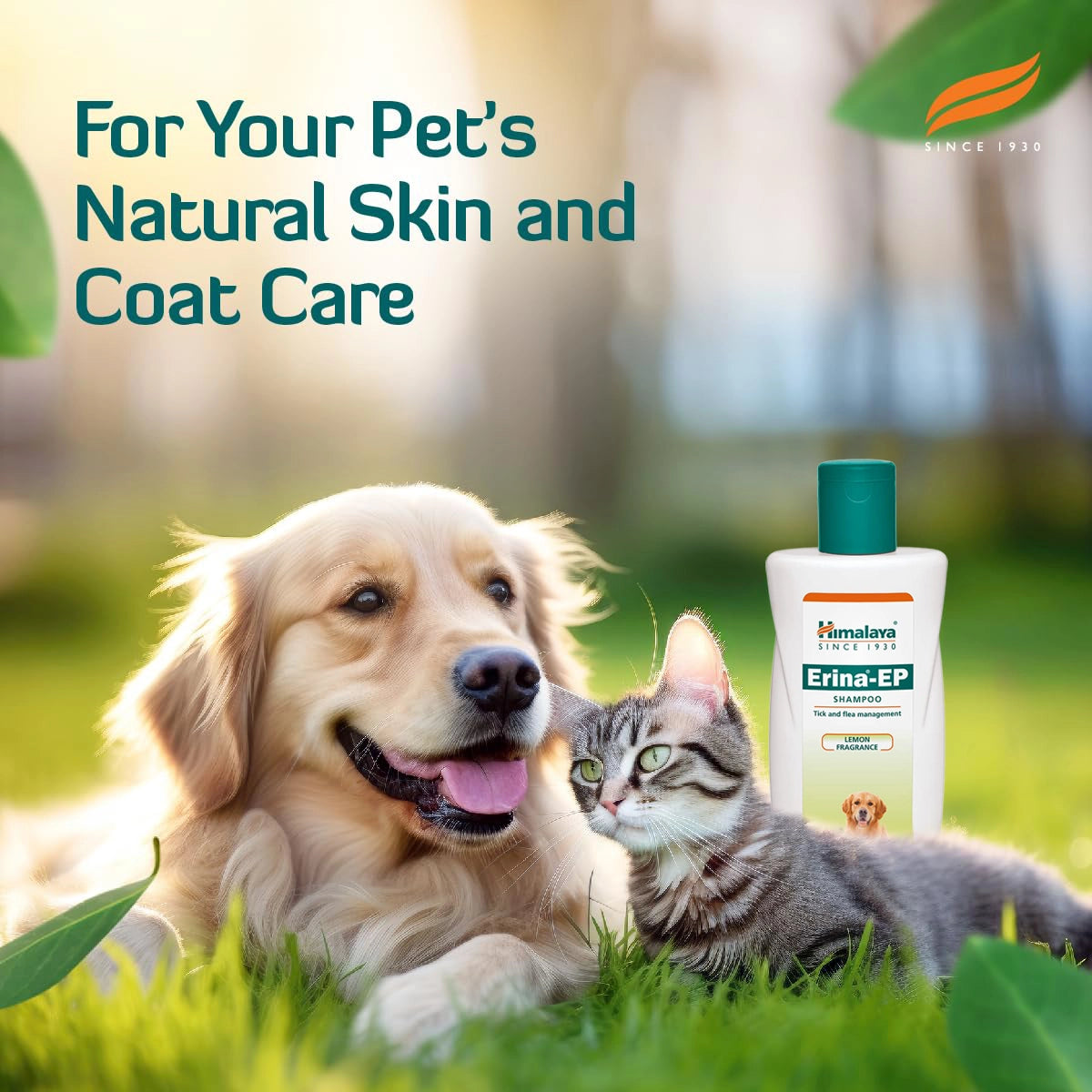 Himalaya Erina Ep Anti Tick & Flea Shampoo - 200 ml