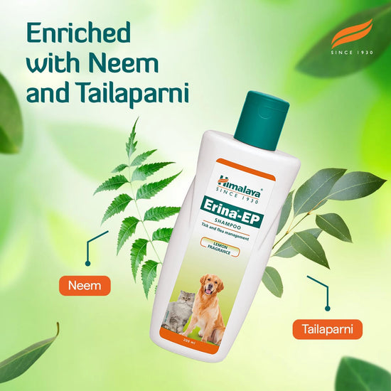 Himalaya Erina Ep Anti Tick & Flea Shampoo - 200 ml